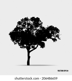 Tree silhouette. Vector illustration.