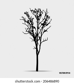 Tree silhouette. Vector illustration.