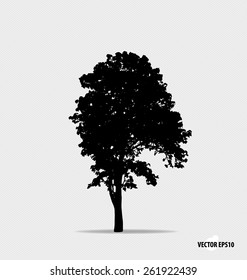 Tree silhouette. Vector illustration.