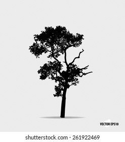 Tree silhouette. Vector illustration.