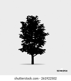 Silhouette de árbol. Ilustración vectorial.