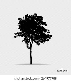 Tree silhouette. Vector illustration.