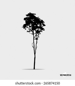 Tree silhouette. Vector illustration.