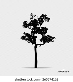 Tree silhouette. Vector illustration.