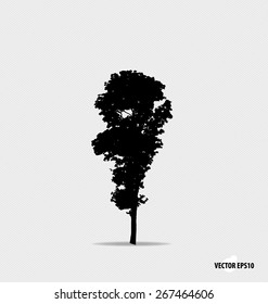 Tree silhouette. Vector illustration.