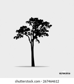 Silhouette de árbol. Ilustración vectorial.