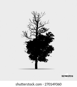Tree silhouette. Vector illustration.