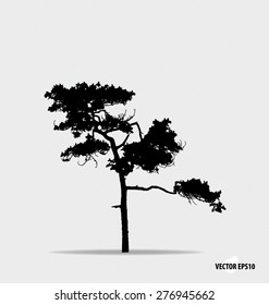 Tree silhouette. Vector illustration.