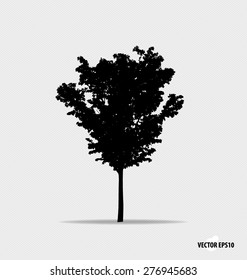 Tree silhouette. Vector illustration.