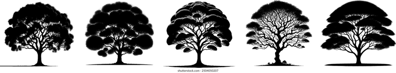 Silueta del árbol colección de la Ilustración vectorial. Planta forestal aislada Elemento de la naturaleza Hoja de madera de roble natural Símbolo de paisaje Negro Blanco Esquema Dibujo Conjunto de Diseños gráficos de arte