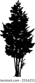 Silhueta de árvore ilustração vetorial ativos digitais