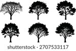 Tree silhouette vector illustration, diverse forest design with perched birds and unique canopy patterns, abstract botanical art, decorative nature elements, creative woodland inspiration concept