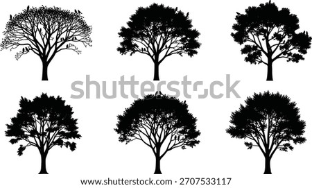 Tree silhouette vector illustration, diverse forest design with perched birds and unique canopy patterns, abstract botanical art, decorative nature elements, creative woodland inspiration concept