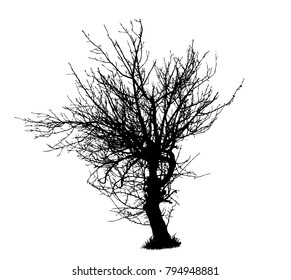 Tree silhouette, vector illustration isolated on white