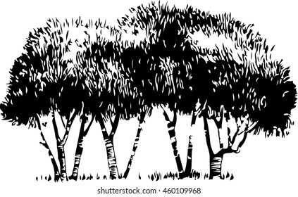 Tree silhouette vector, illustration, nature, similar.