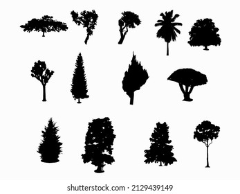 tree silhouette vector illustration set with white background .cedar.flamboyant .coconut tree .pine tree