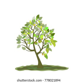 tree silhouette (Vector illustration).Eps10