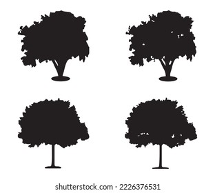 Vector de silueta de árbol. Silhouettes de árboles forestales aislados en negro sobre fondo blanco. Conjunto vector de siluetas de árboles