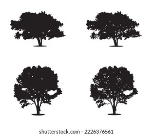 Tree silhouette vector. Isolated forest trees silhouettes in black on white background. Vector set of silhouettes of trees