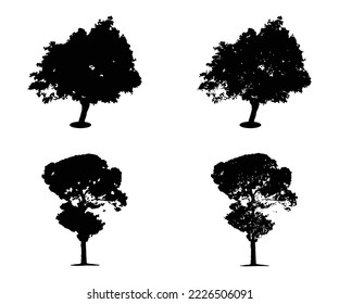 Tree silhouette vector. Isolated forest trees silhouettes in black on white background. Vector set of silhouettes of trees.