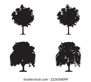 Tree silhouette vector. Isolated forest trees silhouettes in black on white background. Vector set of silhouettes of trees.