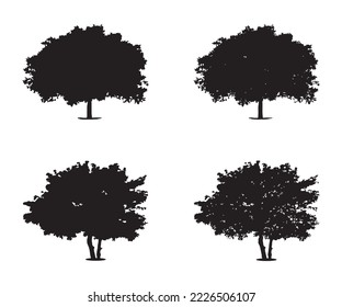 Vector de silueta de árbol. Silhouettes de árboles forestales aislados en negro sobre fondo blanco. Conjunto vectorial de siluetas de árboles.