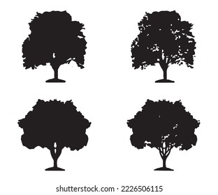 Tree silhouette vector. Isolated forest trees silhouettes in black on white background. Vector set of silhouettes of trees.