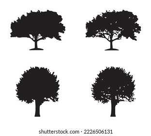 Tree silhouette vector. Isolated forest trees silhouettes in black on white background. Vector set of silhouettes of trees.