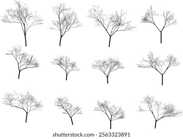 Tree Silhouette Vector for Landscape and Nature Themes