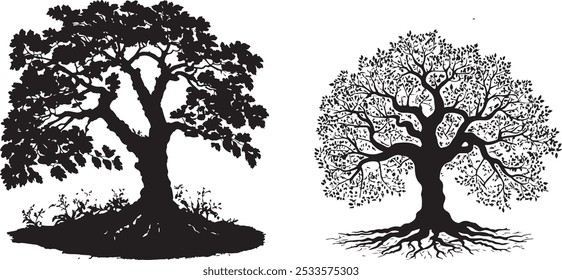 tree silhouette vector mango tree icon vector silhouette.Vector outline Illustration. Plant in Garden.