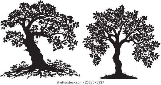 tree silhouette vector mango tree icon vector silhouette.Vector outline Illustration. Plant in Garden.