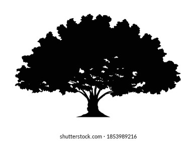 tree silhouette vector on white background