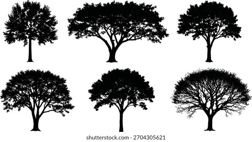 Conjunto de Vector de silueta de árbol, íconos de naturaleza negros, Paquete Clipart de follaje diverso, Formas artísticas de árboles para diseño, uso abstracto, botánico, estacional y educativo