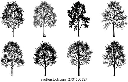 Conjunto de Vector de silueta de árbol, íconos negros de la naturaleza, Paquete de Clipart forestal, Formas de árbol aisladas para el uso de ilustración de diseño, botánica, estacional y paisajística