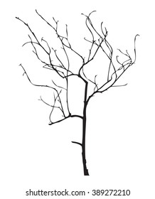 Tree silhouette, without leaves, black isolated on white background, vector illustration. 