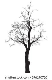 Tree silhouette, without leaves, black isolated on white background, vector illustration.