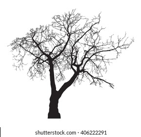 Tree silhouette, without leaves, black isolated on white background, vector illustration.