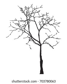 Tree silhouette, without leaves, black isolated on white background, vector illustration. 