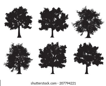 61,116 Tree profile Images, Stock Photos & Vectors | Shutterstock