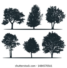 Tree silhouettes - ash, willow, elm, pine, chestnut, alder. Set of different trees. City trees. European nature.