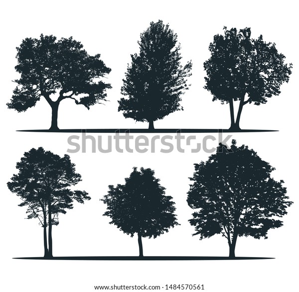 Tree\
silhouettes - ash, willow, elm, pine, chestnut, alder. Set of\
different trees. City trees. European\
nature.