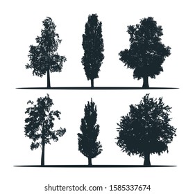 Tree silhouettes - Birch, Poplar, Chestnut, Poplar, Linden. Set of different trees.