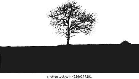 Tree silhouettes. Black and white vector illustration.