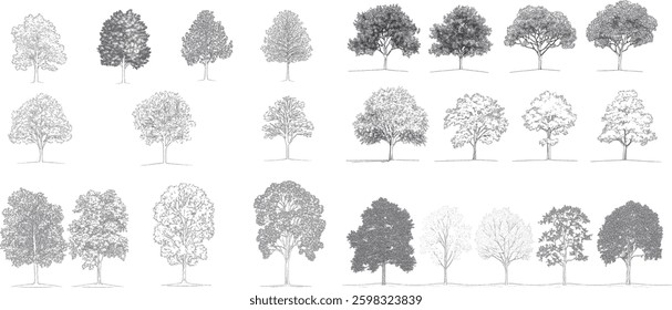 Tree Silhouettes Collection, Vector Illustration
