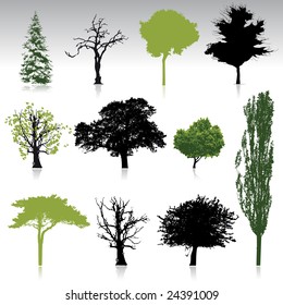 Tree silhouettes collection for your design