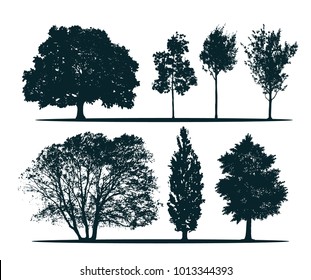 Tree silhouettes - green oak, maple, acer-platanoides, linden, ash, poplar. Set of different trees.