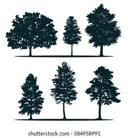 Tree silhouettes - green oak, maple, poplar, larch, pine, siberian pine. Set of different trees.