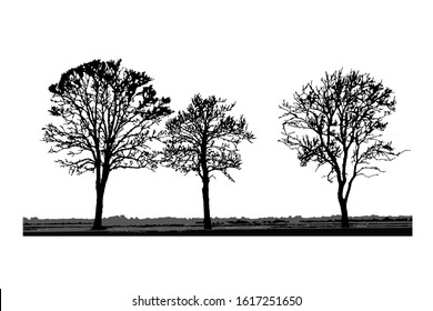 Tree silhouettes isolated on white background. Realistic set of trees silhouette and grass, black shape. Outline large dried trees with bare branches without leaves. Winter scenery. Stock vector