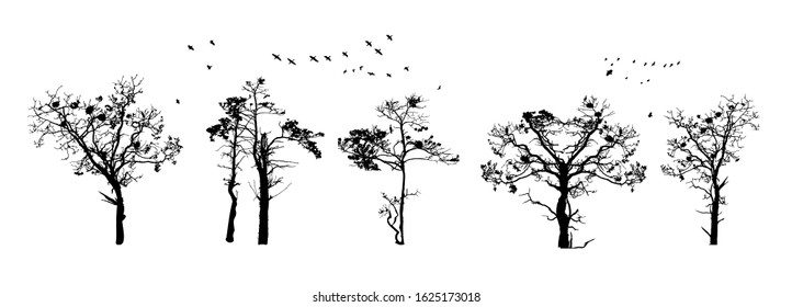 Tree silhouettes isolated on white background. Realistic set of trees silhouette. Black shape. Outline large dried trees with bare branches without leaves. Winter or autumn scenery. Stock vector