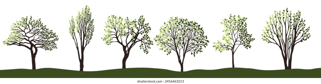 Tree silhouettes for the landscape design. Entourage design. Vector illustration.